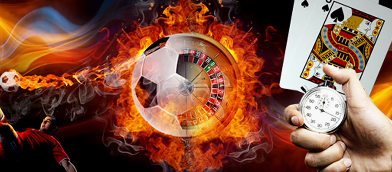 Stay informed with real-time payout stats and game volatility ratings