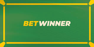 Everything You Need to Know About Betwinner Online Bet
