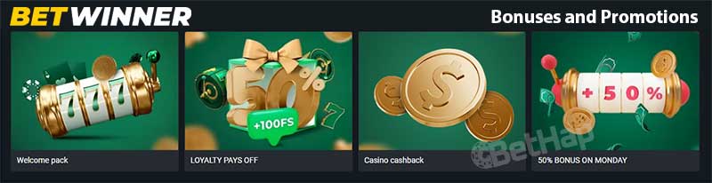 Exploring the Features of Betwinner site