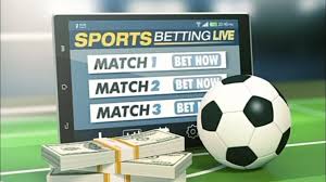 The Rise of Meridian Bet in the Online Betting Arena